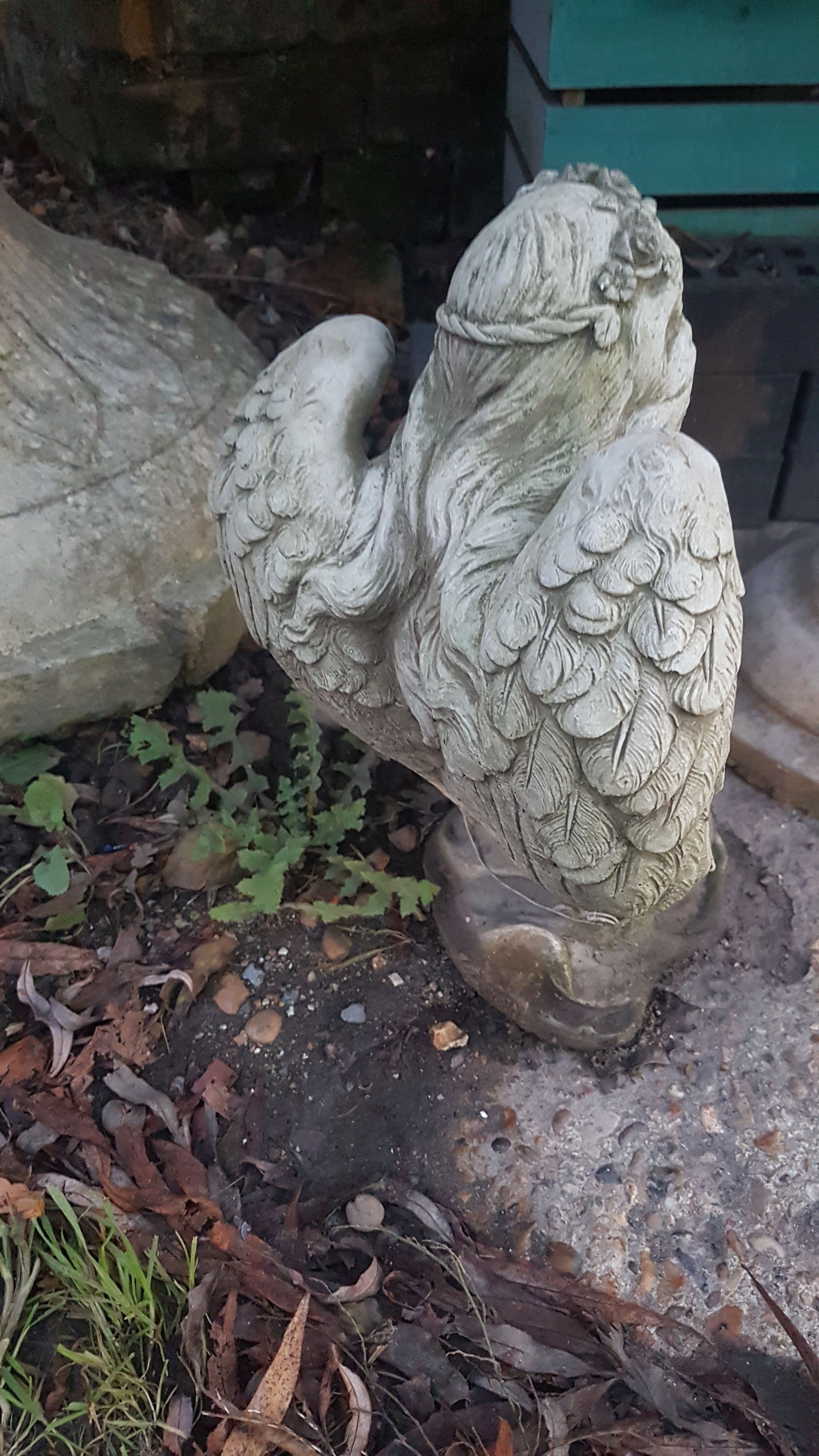 Stone Angel